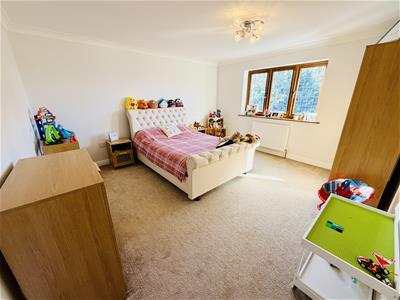 Picture 31